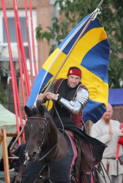 Tjuren från Östra Aros - Celeres Nordica (Foto: Åsa Cidh)